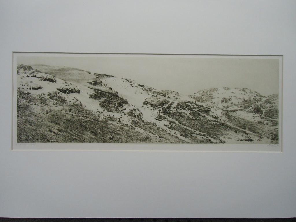 GROOT DUINLANDSCHAP  //  ETS VAN DIRK HARTING kopen? Bied vanaf 40!