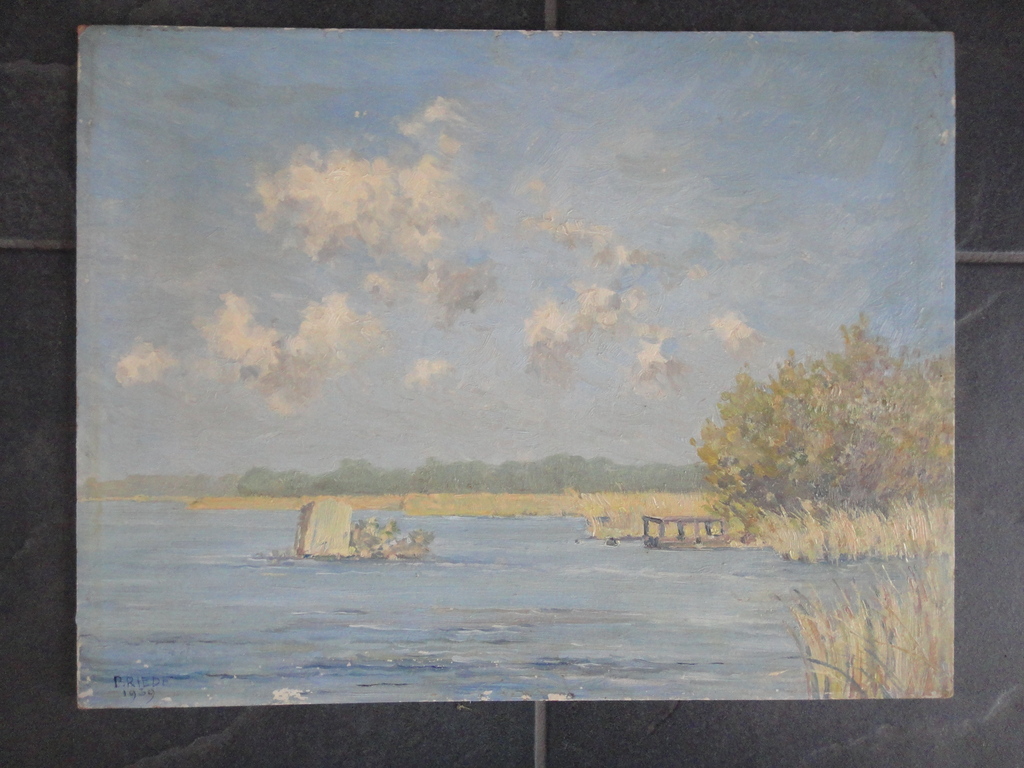 Johan Briedé, olieverf op board, kustgezicht verkocht voor € 125!