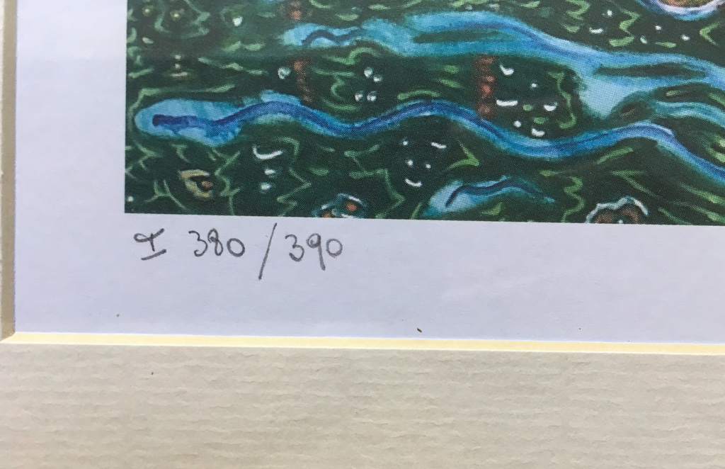 Pjeroo Roobjee, kleurenlitho, Superbaby kopen? Bied vanaf 30!