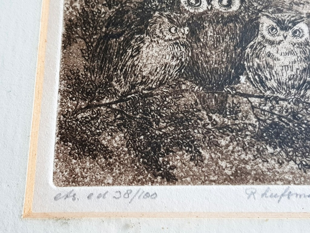 Rini Leefsma-Nagtegaal - Rini Leefsma-Nagtegaal - Uilen - Gesigneerde ets kopen? Bied vanaf 30!