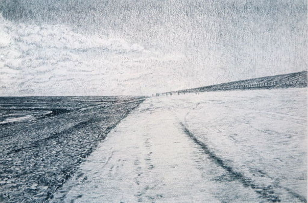 Frans Room- Hollandse Zeewering- Litho-84/100-1989-gesigneerd- INGELIJST(groot) kopen? Bied vanaf 10!