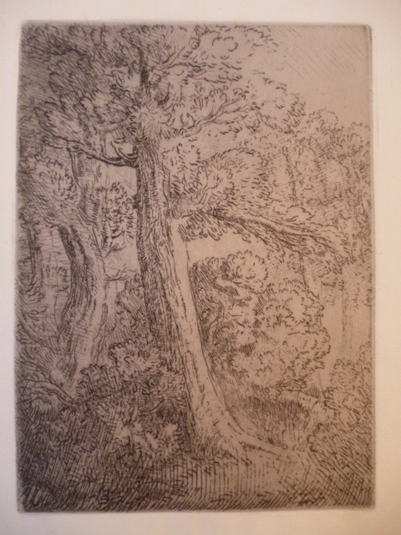 Alphonse Legros - ets - Bosgezicht kopen? Bied vanaf 20!