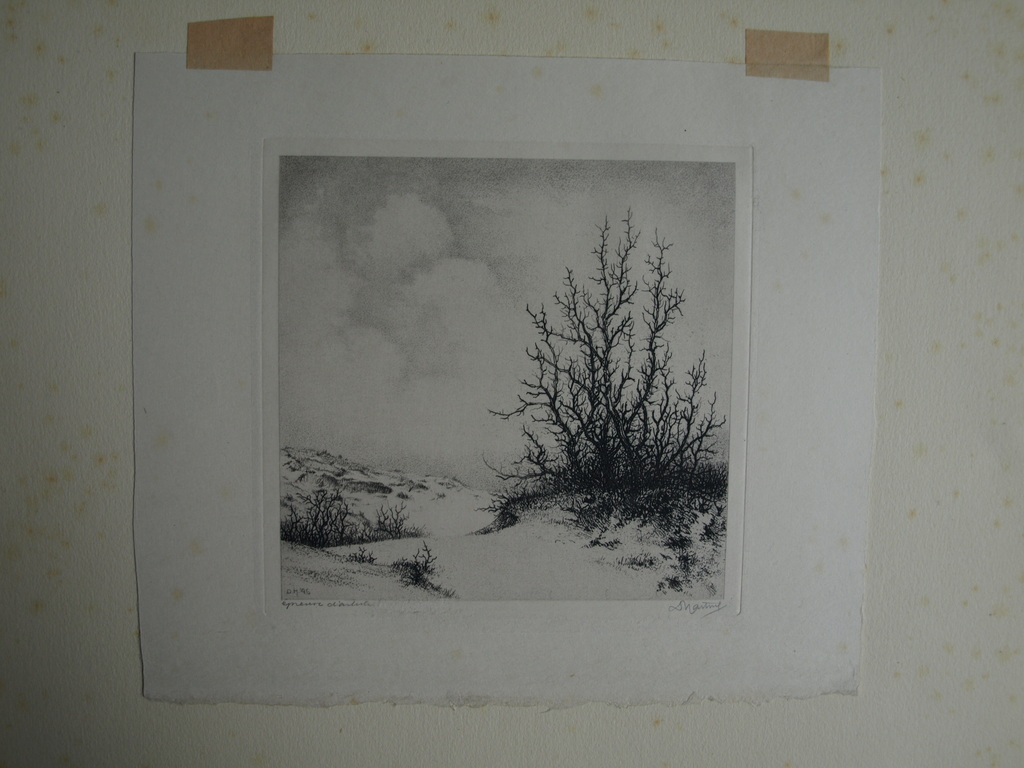 Dirk Harting (1884-1970) : Ets – Heesterplant – gesigneerd – 1946 kopen? Bied vanaf 1!