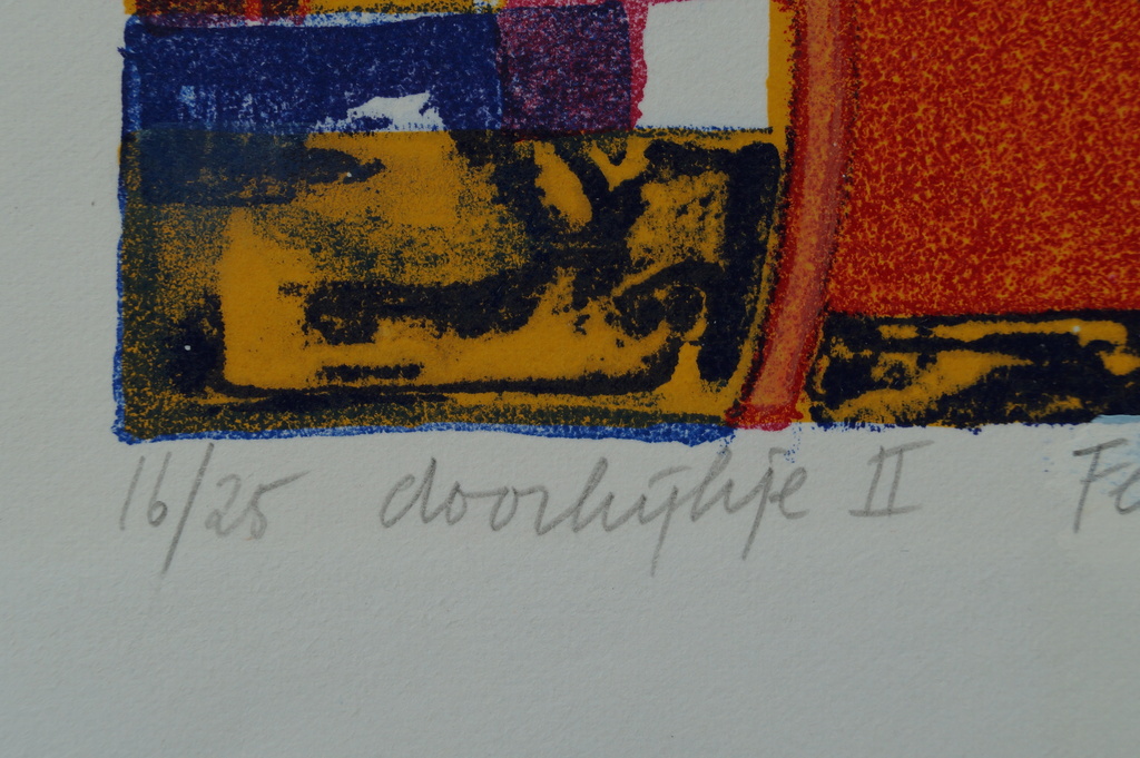 Fennek van der Elst - twee litho's - doorkijkje I en II - 2000 kopen? Bied vanaf 1!