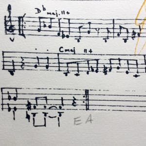 Sam Middleton - Sam Middleton (2 stuks): 1 ingelijste gesigneerde kleurenlitho én 1 niet ingelijste gesigneerde kleurenlitho kopen? Bied vanaf 60!