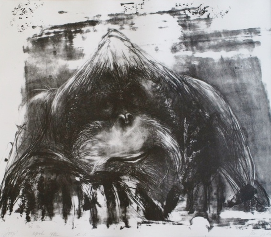 Ton Söder : Litho , Orang-oetan Joop – Artis - gesigneerd & ingelijst – 1982 kopen? Bied vanaf 1!