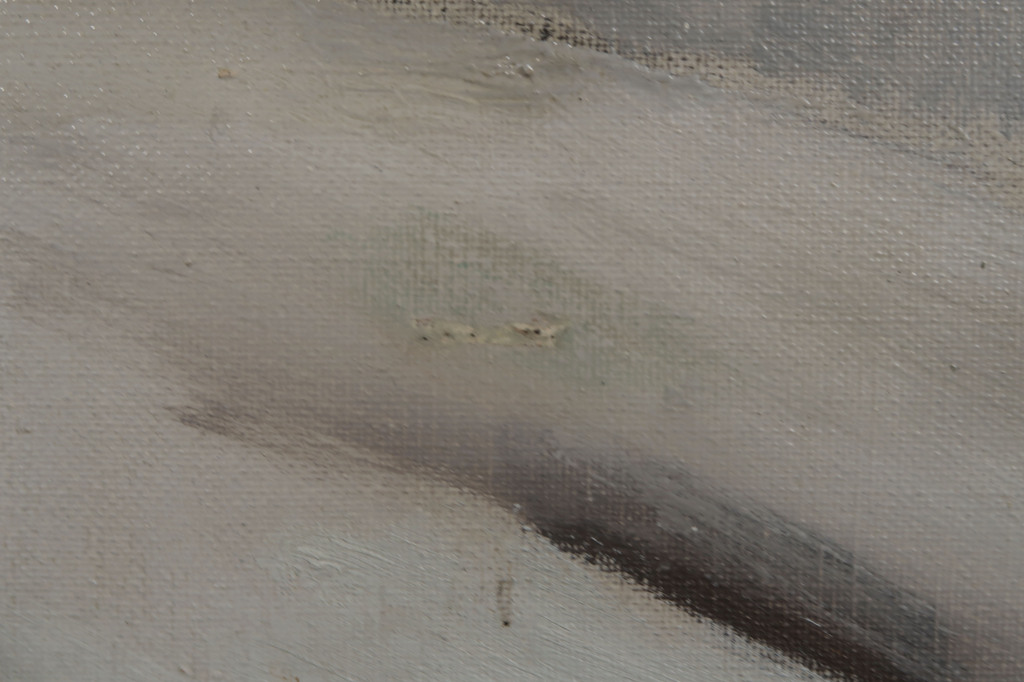 Albert Saverys: Olieverf op doek, Besneeuwd weiland - Ingelijst kopen? Bied vanaf 900!