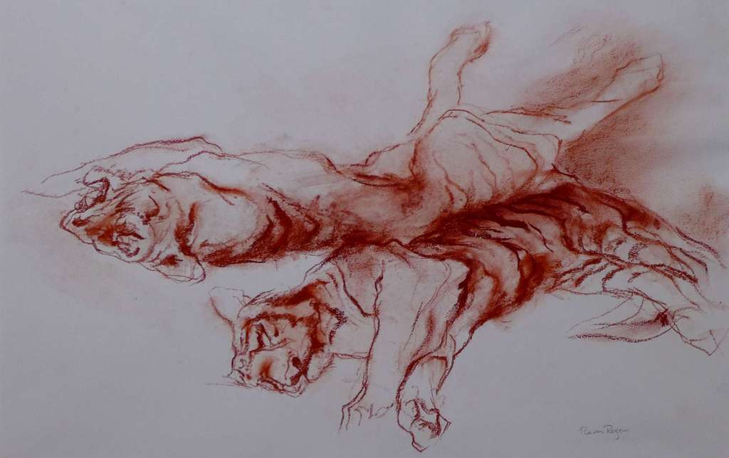 Ru van Rossem, krijttekening. kopen? Bied vanaf 350!
