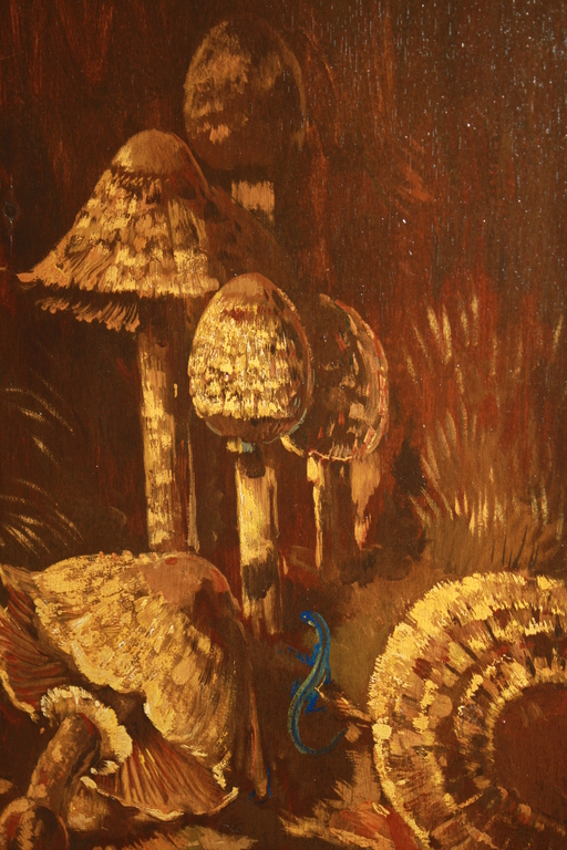 THEO GOEDVRIEND - PADDESTOELEN EN BLAUWE HAGEDIS verkocht voor € 139!