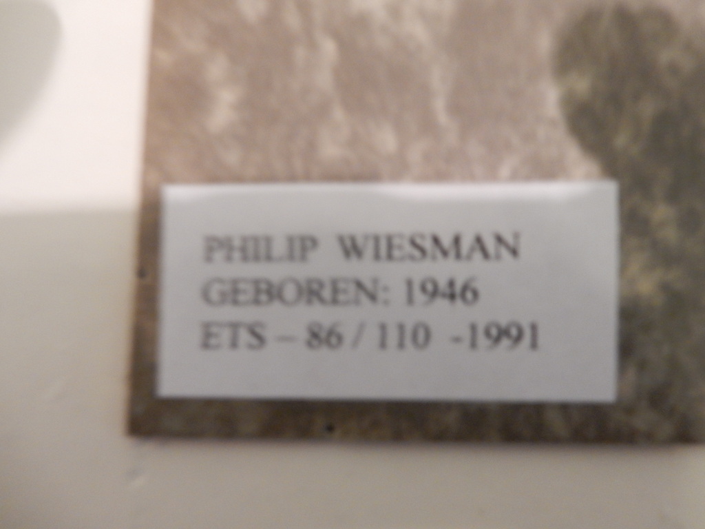 Philip Wiesman, ets / bomen in landschap in passe partout met lijst kopen? Bied vanaf 50!