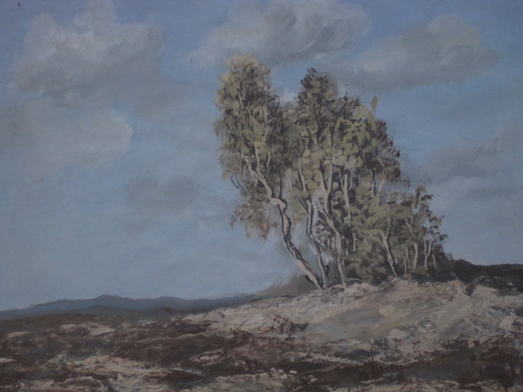"Janus" de Winter 1882-1951 aquarel "zomers Veluwe landschap 1920 kopen? Bied vanaf 1!