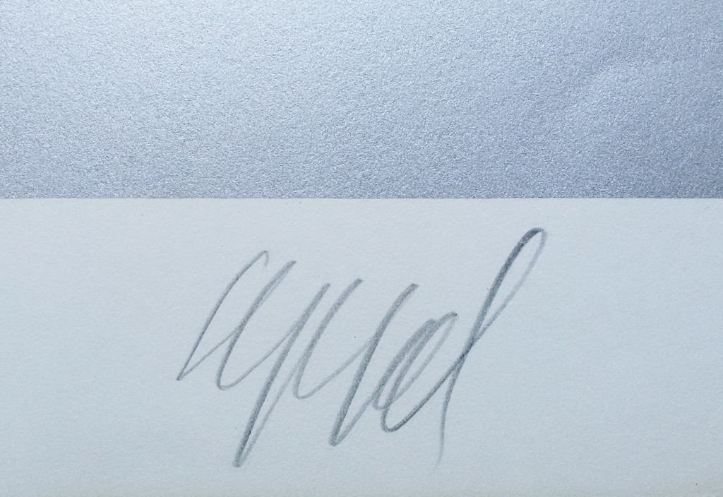 Karel Appel - The Kiss (Silver), zeefdruk (ingelijst, groot) kopen? Bied vanaf 750!