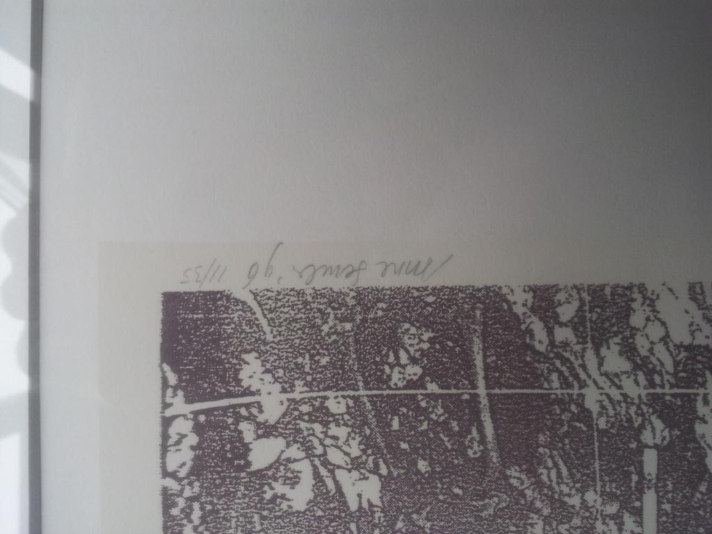 Anne Semler Gesigneerde Zeefdruk Lantaarn Ingelijst Oplage 35 kopen? Bied vanaf 1!