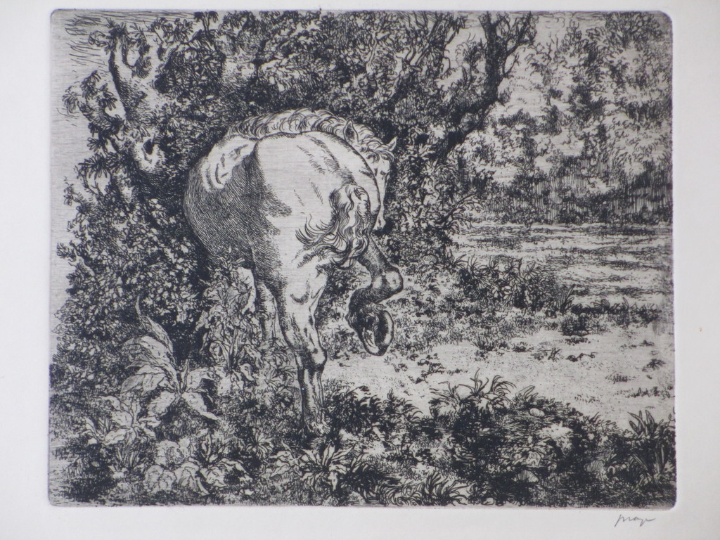 Ko Prange, Mythologisch paard, Ets verkocht voor € 35!