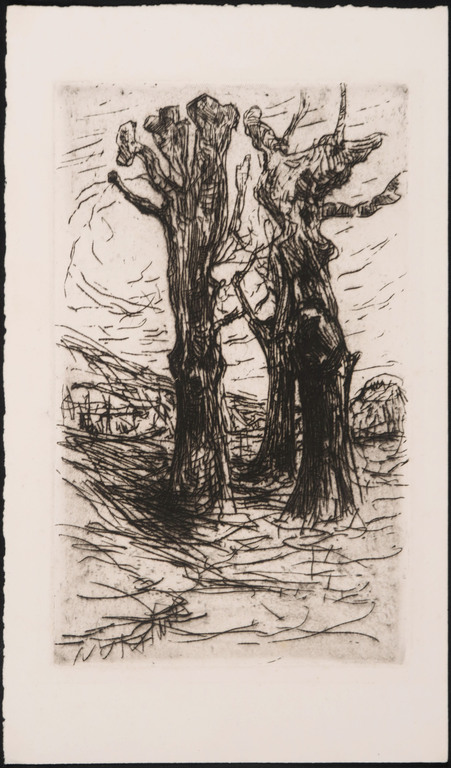 Floris Verster - Floris Verster: Droge Naald, Bomen kopen? Bied vanaf 65!