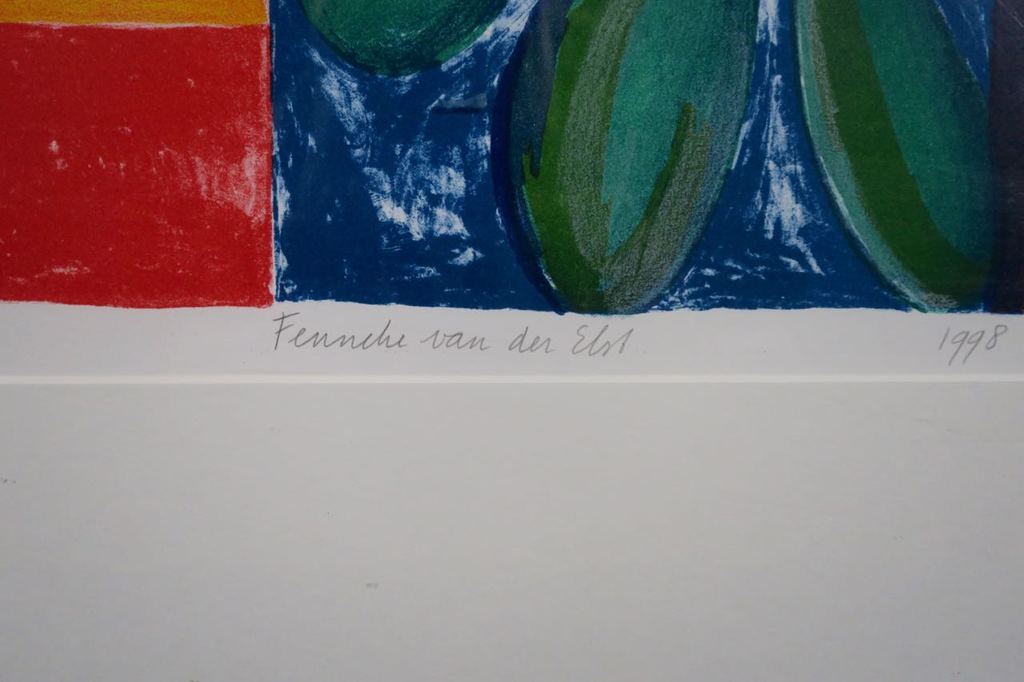 Fenneke van der Elst: Litho, Villa Diana - Ingelijst (Groot) kopen? Bied vanaf 1!