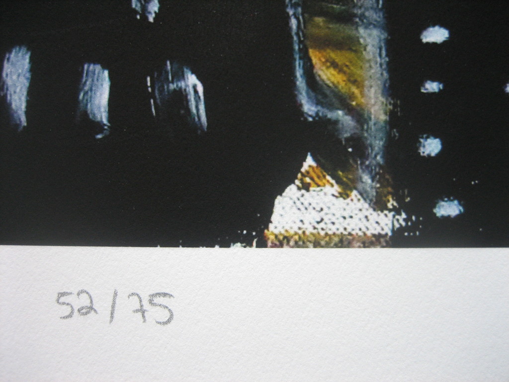 Paul Kostabi - "The Wolf of Wall Street" - Giclee - Handgesigneerd - 2014 kopen? Bied vanaf 39!