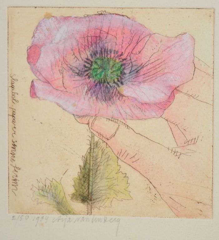 Arja van den Berg: Ets Aquatint, Klaproos kopen? Bied vanaf 50!