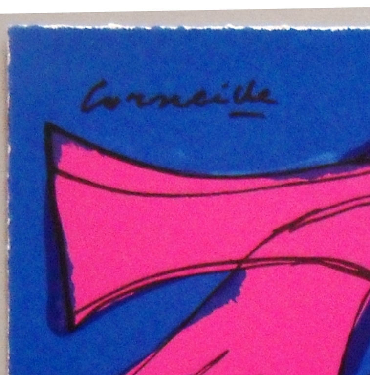 Corneille: vogel in roze kopen? Bied vanaf 1!