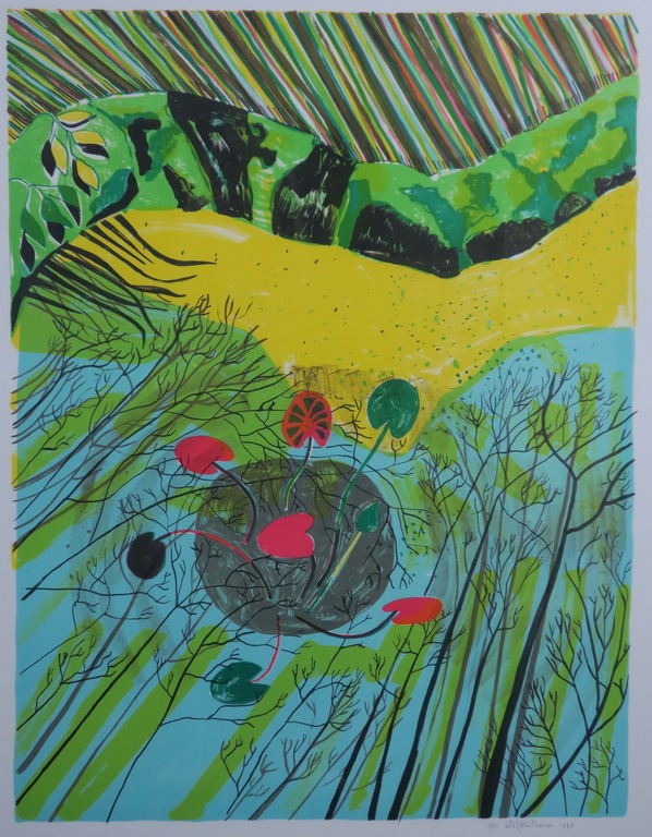 Dorian Hiethaar: Litho, Vijver -Ingelijst kopen? Bied vanaf 35!