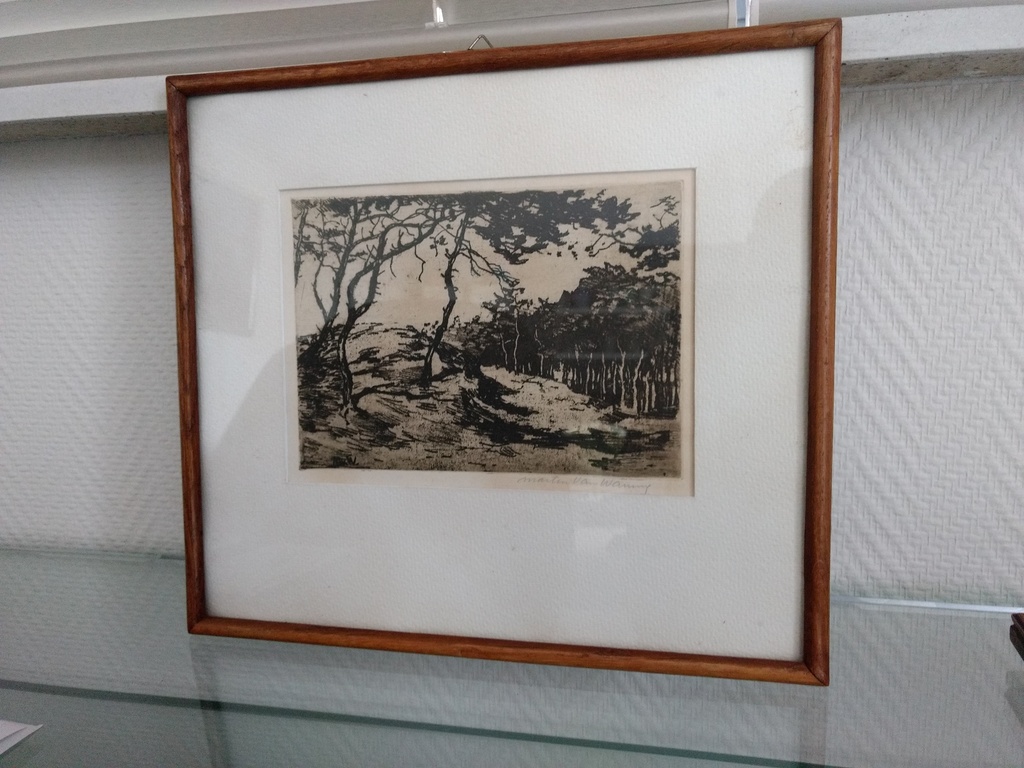 Martin van Waning: ets, Bosgezicht Schiermonnikoog kopen? Bied vanaf 60!