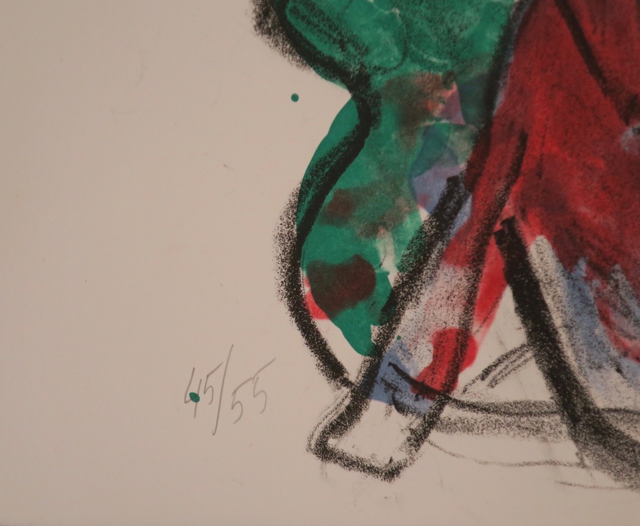 Jan Sierhuis: Litho, Flamenco (groen) kopen? Bied vanaf 70!