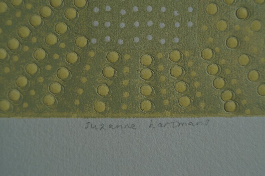 Suzanne Hartmans - zonder titel - gesigneerde ets met relief - 1996 kopen? Bied vanaf 1!