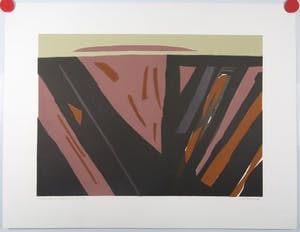 Thijs Buit - Thijs Buit: Boardsnede, O-Flevoland kopen? Bied vanaf 1!