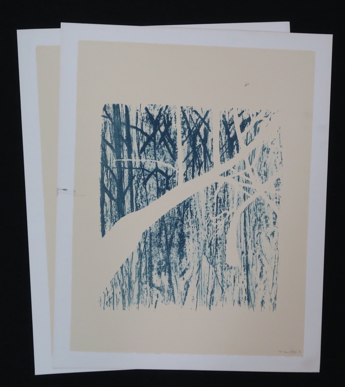 Lot met 2 grafische werken van Dorian Hiethaar: Litho, Blauw bos kopen? Bied vanaf 1!