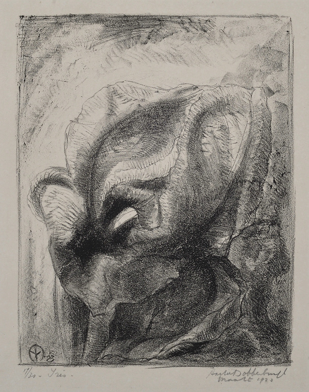 Aart van Dobbenburgh: Litho - Iris - 1923 verkocht voor € 35!