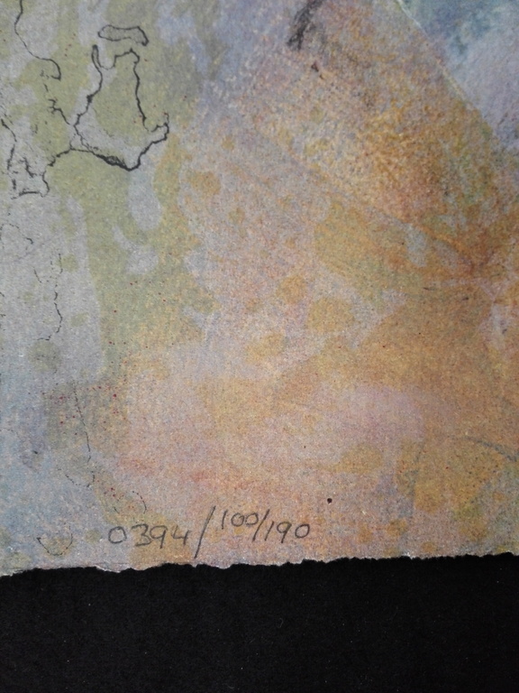 Hans Vanhorck, litho op papier kopen? Bied vanaf 30!