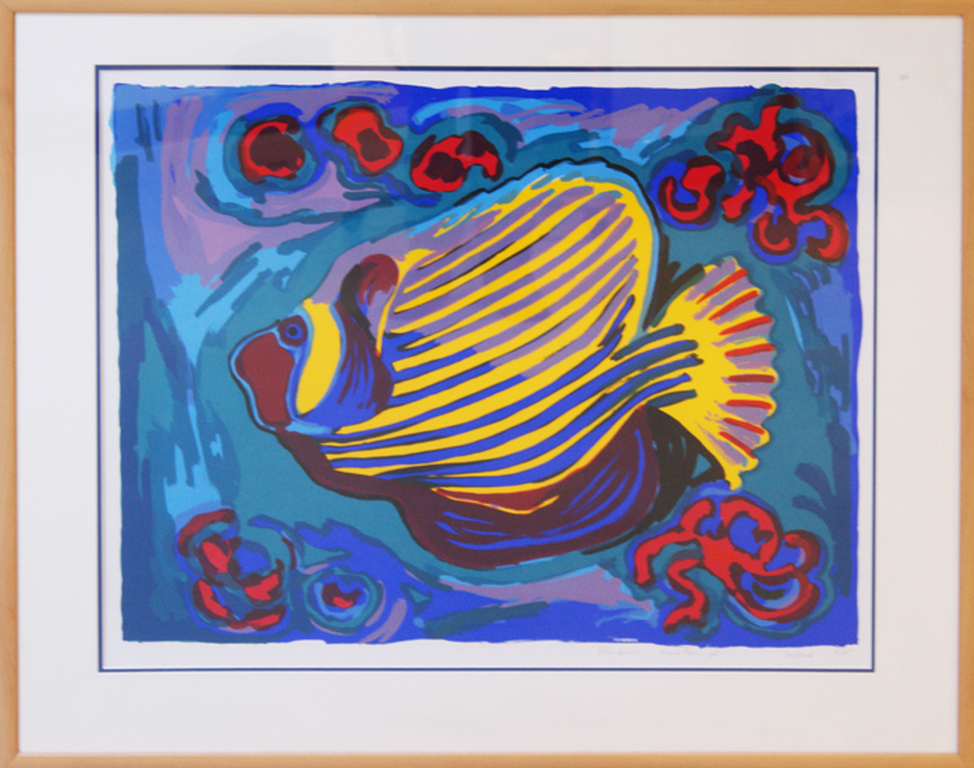 Vlindervis verkocht voor € 65!