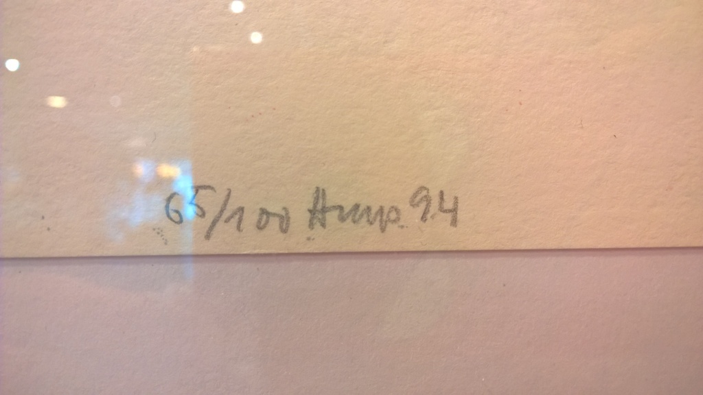 Hans Meyer Petersen: Zeefdruk 65/100 kopen? Bied vanaf 60!