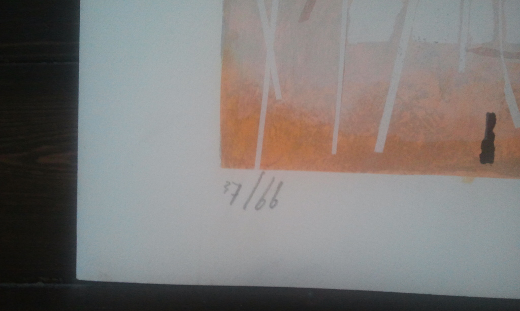 Danny van Walsum kopen? Bied vanaf 1!