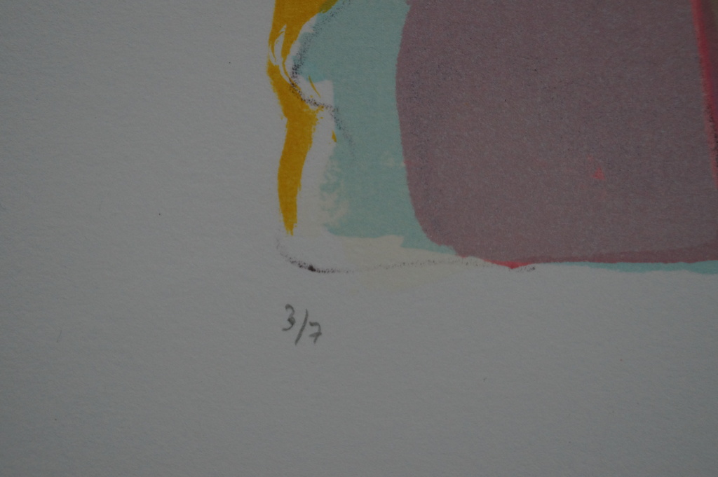 Elisabeth van Vreeswijk - gesigneerde litho - 2002 kopen? Bied vanaf 10!