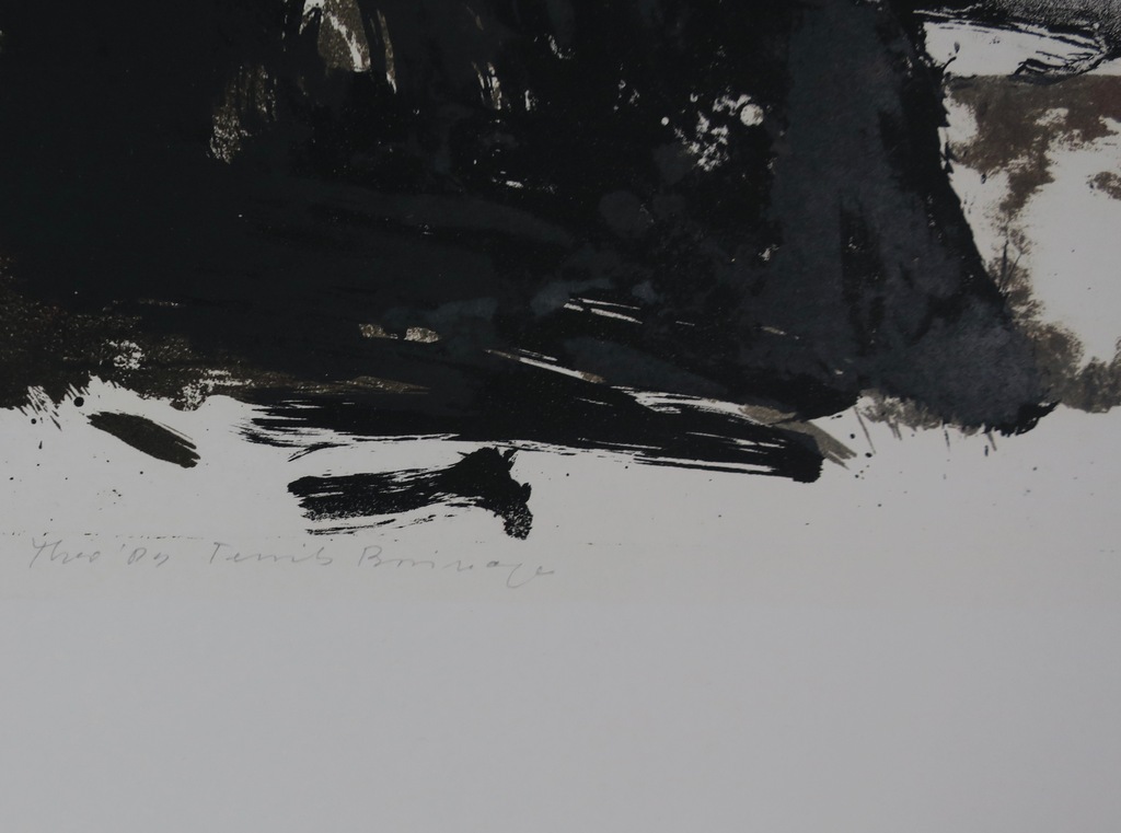 Theo Elfrink: Litho, Ternils (...) kopen? Bied vanaf 1!