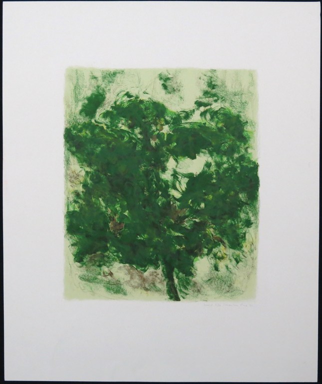 Marian Plug: Litho, Zuid kopen? Bied vanaf 20!