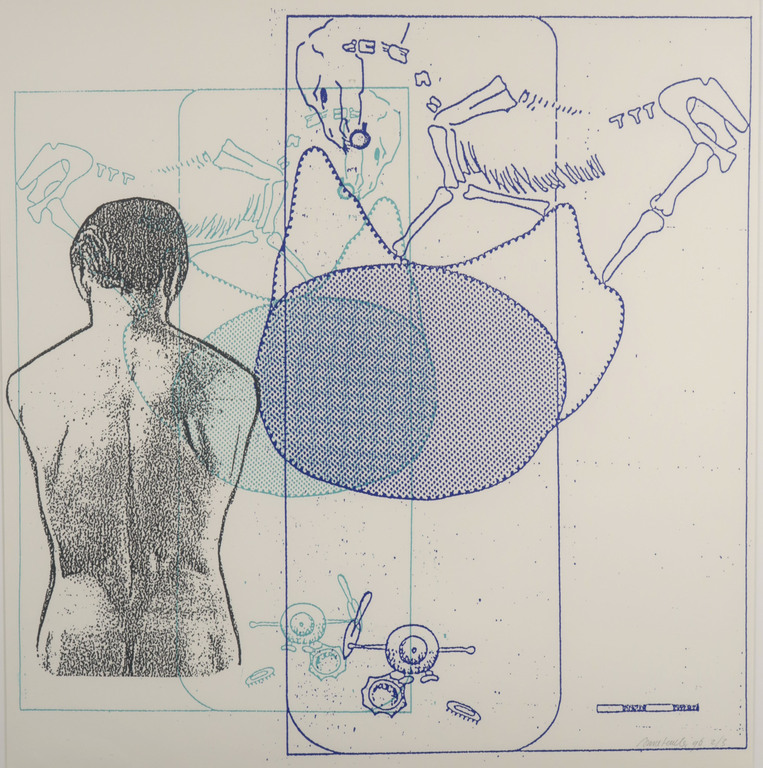 Anne Semler: Zeefdruk, Z.T. - Ingelijst (Groot) kopen? Bied vanaf 1!