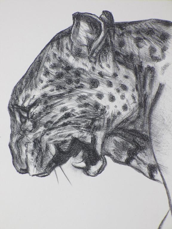 Herbert van der Poll, Tijger, Litho kopen? Bied vanaf 1!