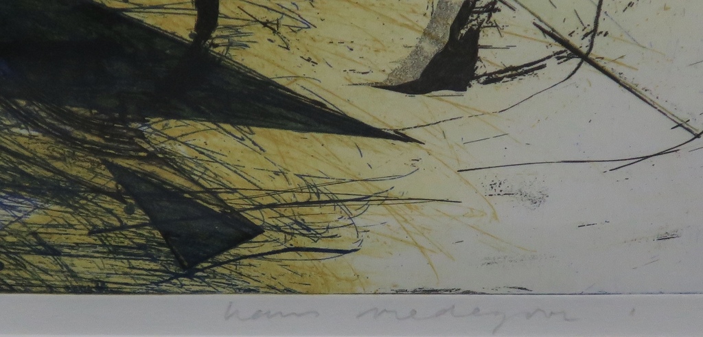 Hans Vredegoor: Kleurenets, Break Out -Ingelijst kopen? Bied vanaf 35!