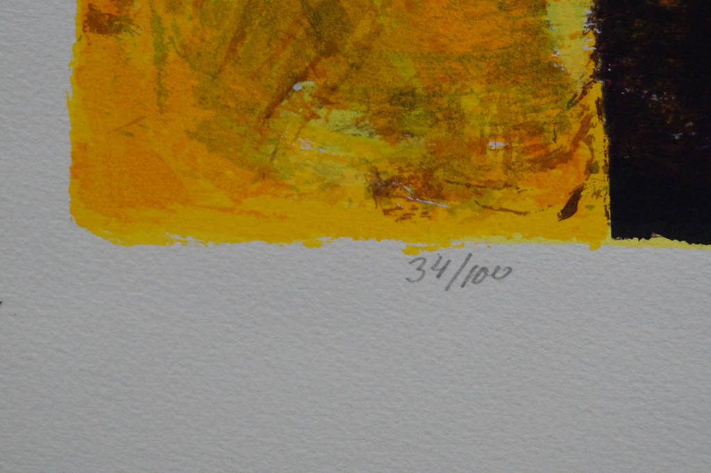 Willem van Scheijndel - gesigneerde zeefdruk - Hakuma Matata kopen? Bied vanaf 30!