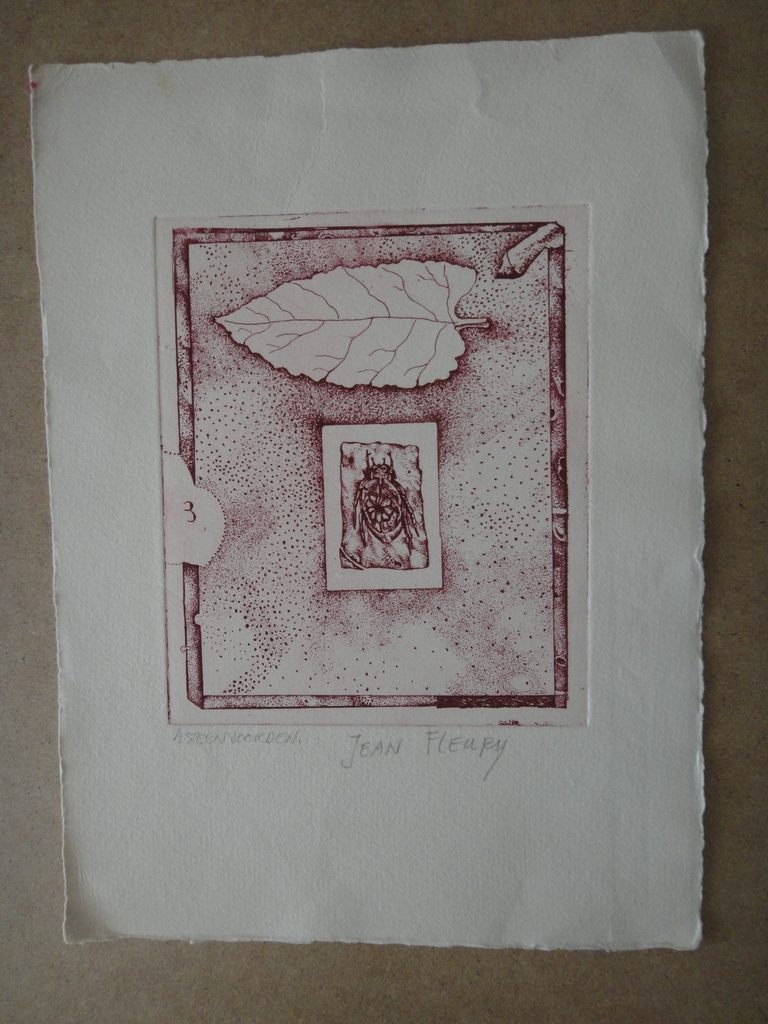 Ab Steenvoorden, ets, 'tweestrijd'  kopen? Bied vanaf 1!