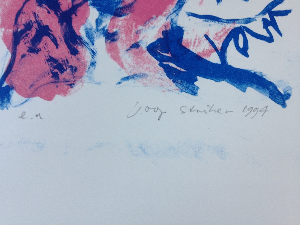 Joop Striker: Ziet ver van hier  kopen? Bied vanaf 10!