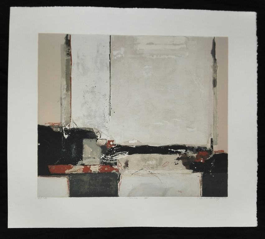 Ron van der Werf, zeefdruk op papier, Titel : Terra II verkocht voor € 40!