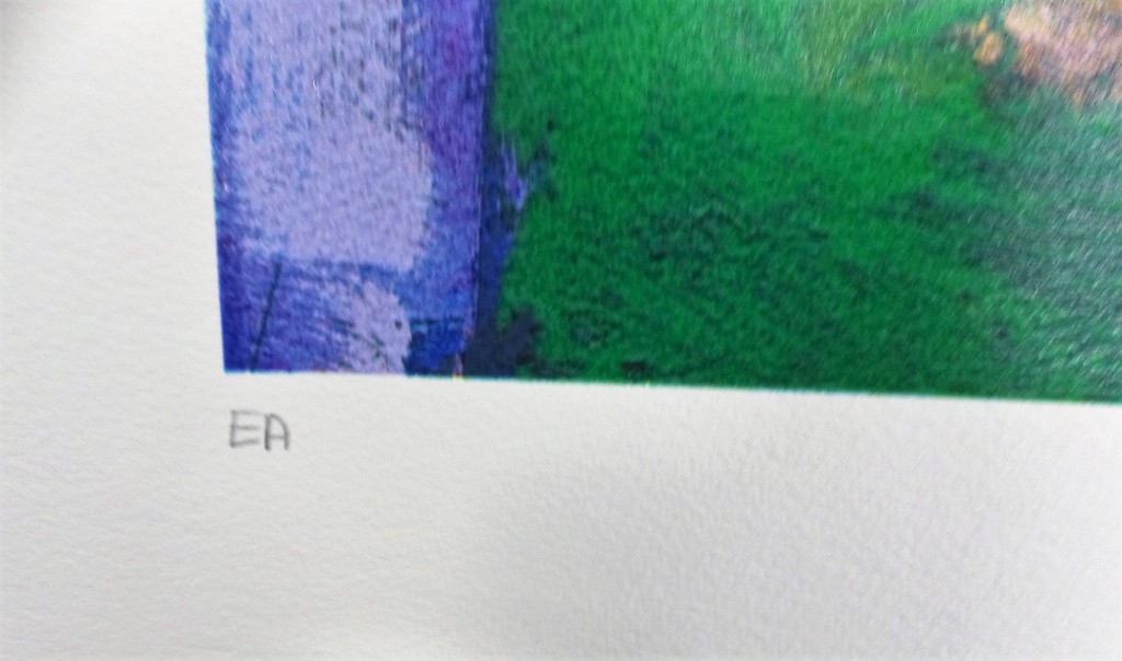 Jentsje Popma,zeefdruk op papier,Koolzaadveld met Fluitekruid ,handgesigneerd. kopen? Bied vanaf 75!