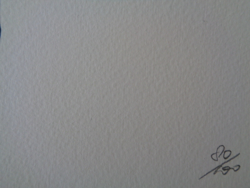 GROTE Fine Art Print, kopen? Bied vanaf 26!