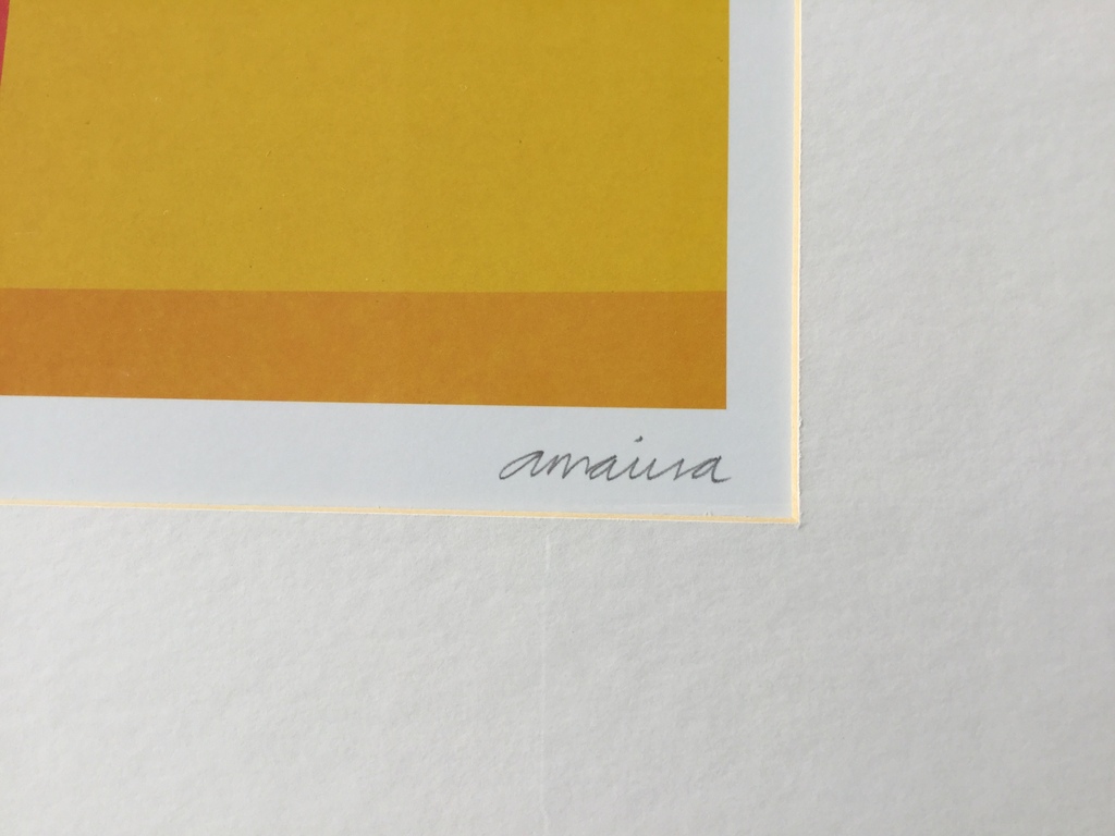 Amaina: Set abstracte Lithoâ��s, Midnight Moon - Sunset kopen? Bied vanaf 35!