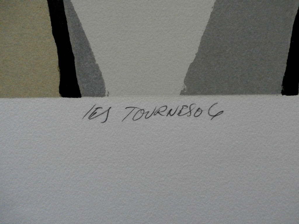 Fon Klement - grote boardsnede: Les Tournesois - 1992 kopen? Bied vanaf 195!