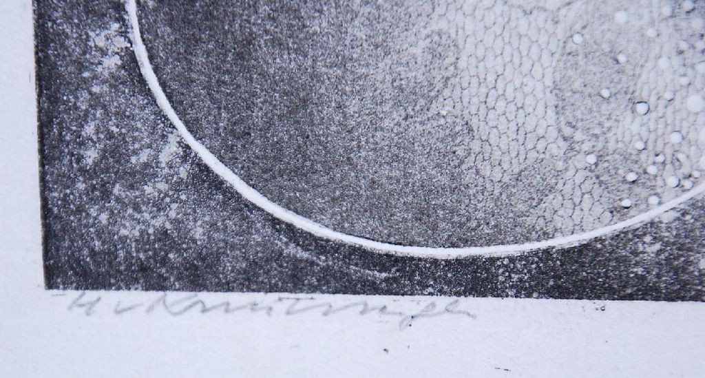 Harry van Kruiningen: Kleurenets/Aquatint. Cellen/Algen kopen? Bied vanaf 70!