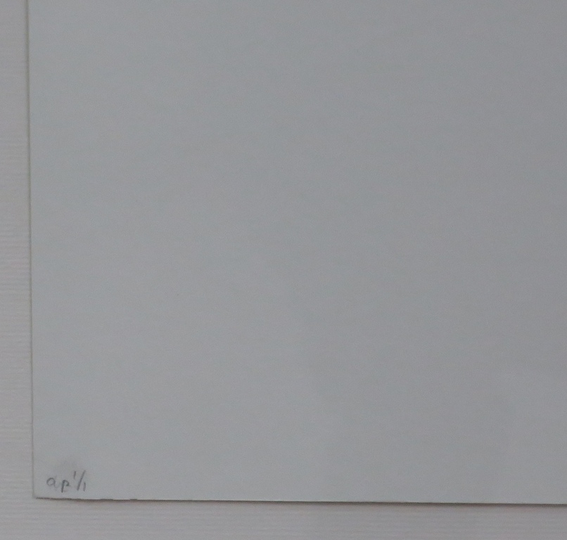 Bert Loerakker: Zeefdruk, Zonder titel -Ingelijst kopen? Bied vanaf 35!